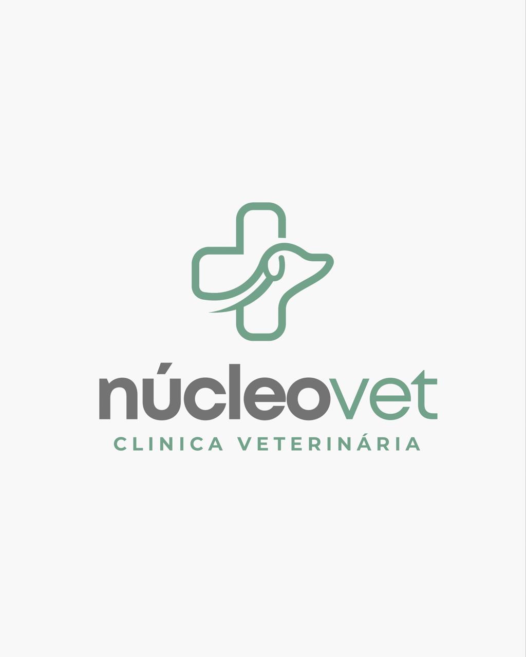 Núcleo Vet, Clínica com cirurgia em Salvador
