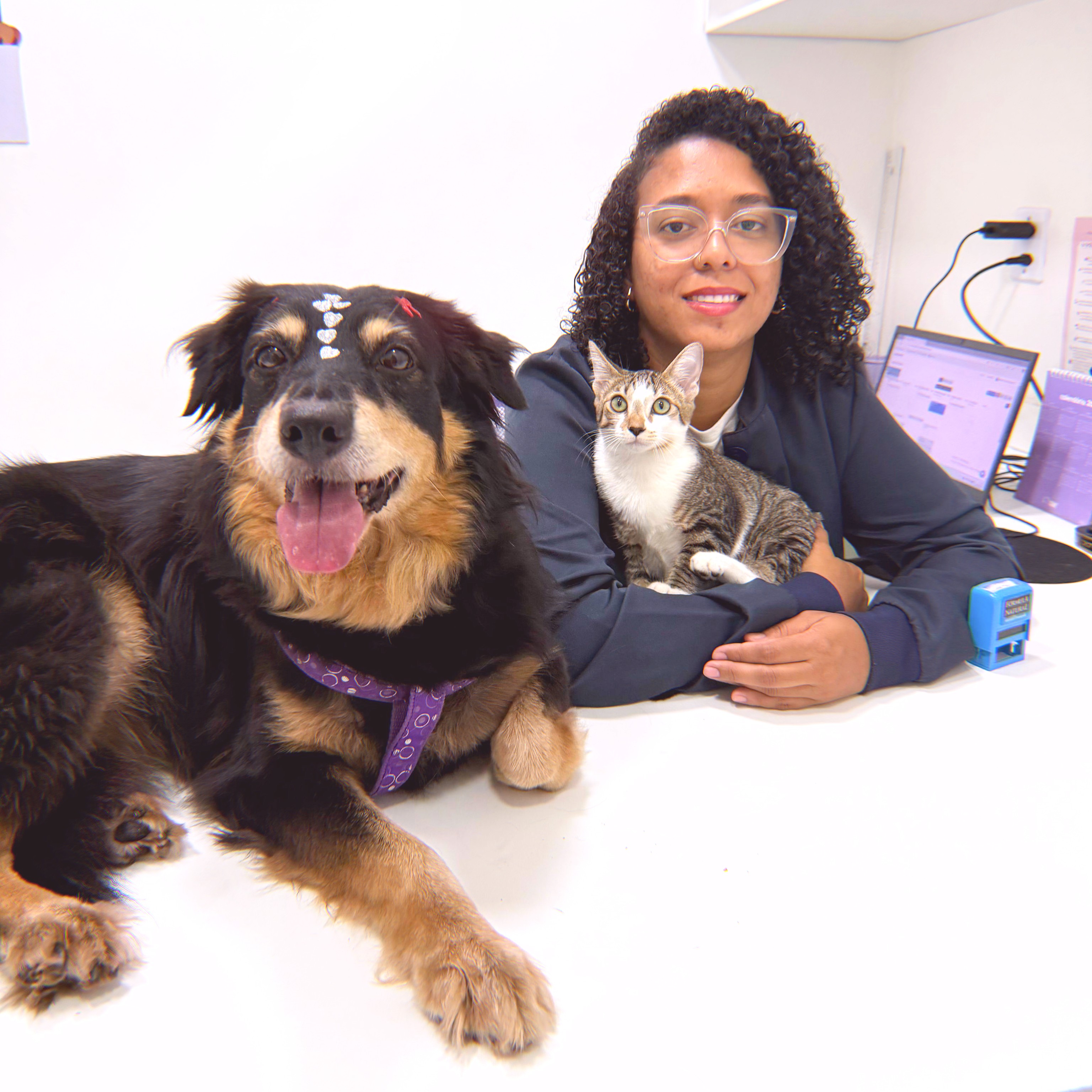 Dra. Isabella Araujo, Veterinário a Domicílio em Volta Redonda