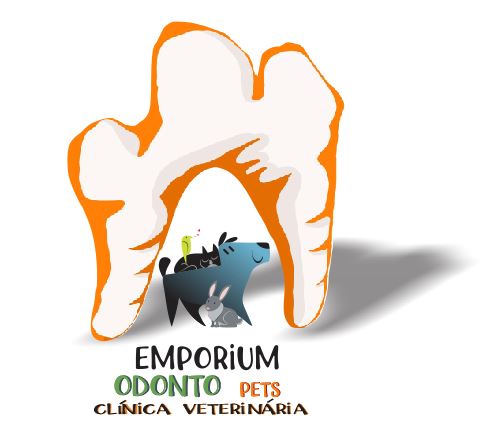 Dra. Edi Cristina Moura, Odontologia em Curitiba