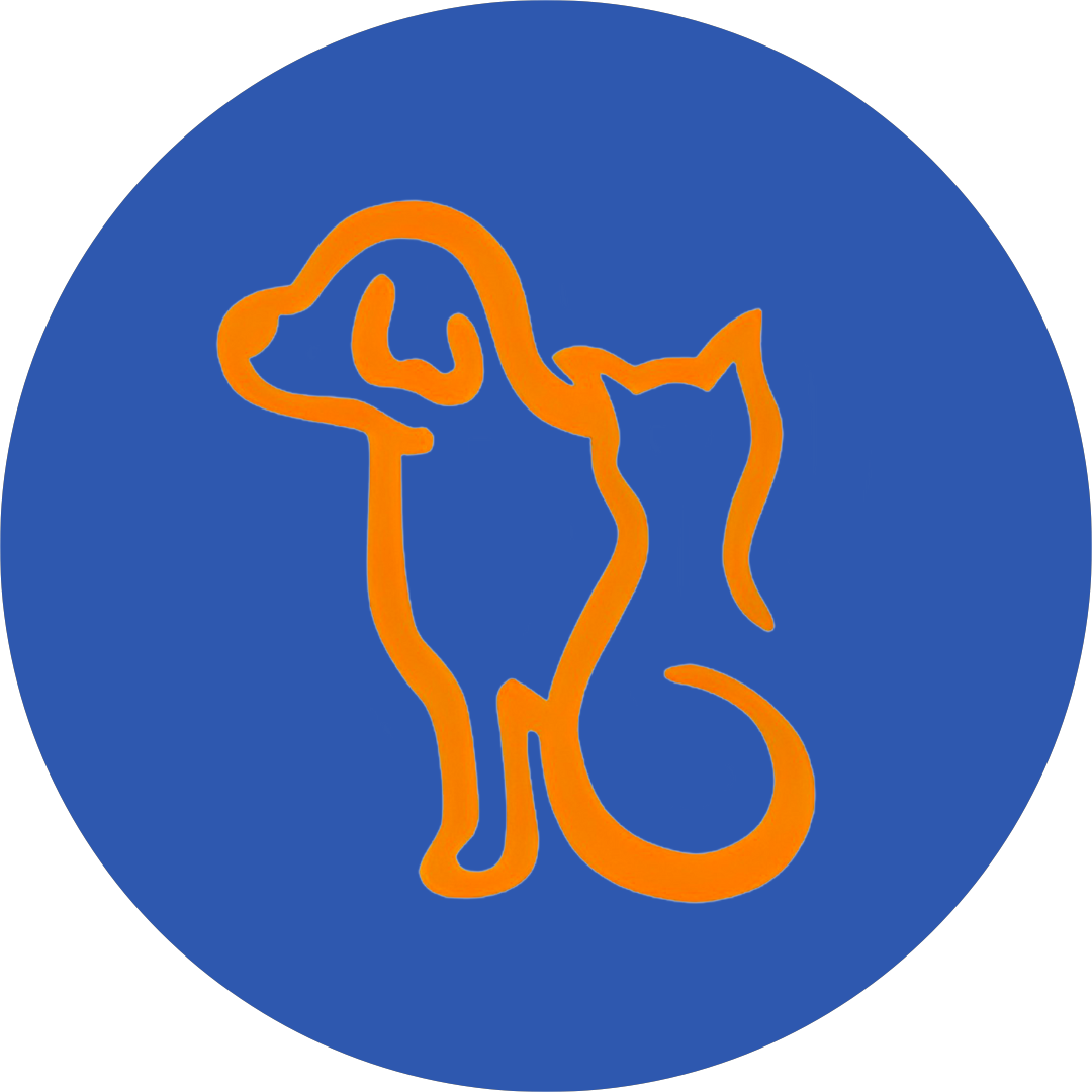 Pet Feel, Clínica com cirurgia em Salvador