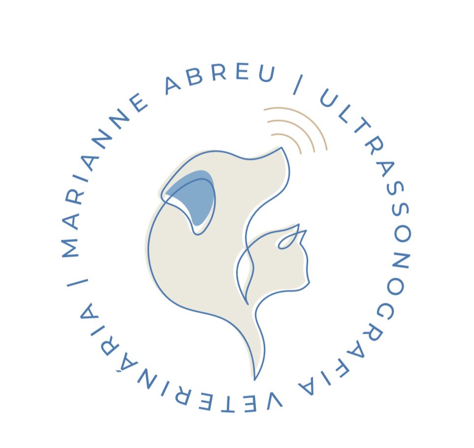 Dra. Marianne Abreu, Ultrassom em Campinas