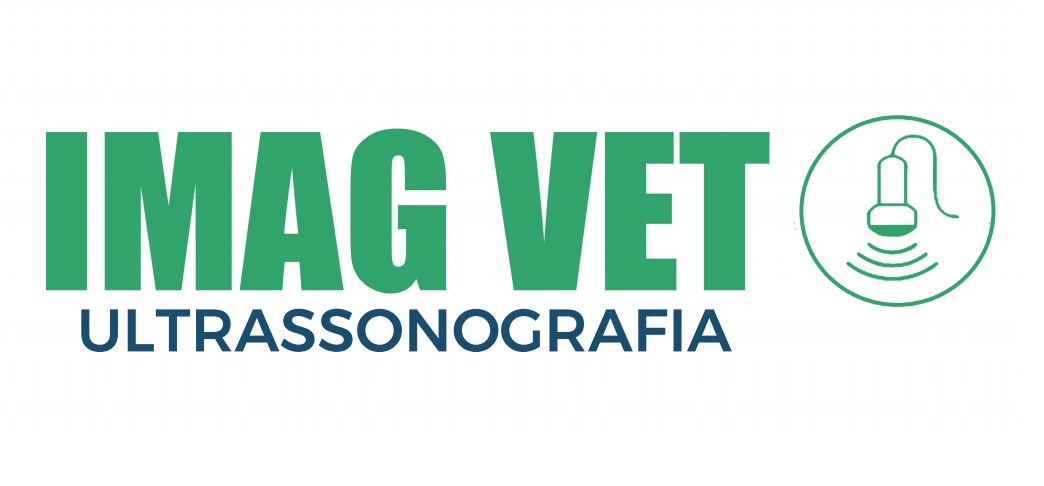 Dr. Fernando Henrique, prestador credenciado Petlove Saúde em Contagem