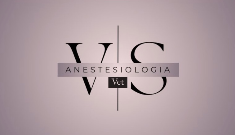 Victoria Scarparo Serviços Veterinários, Anestesista em Porto Alegre