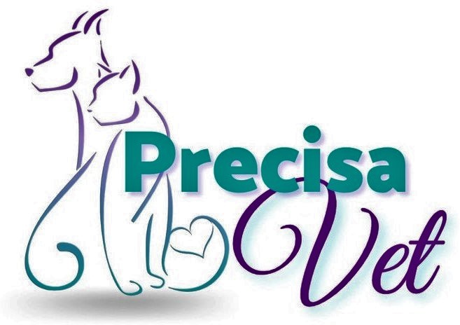PrecisaVet - Serviços de Cirurgia e Anestesia em Pequenos Animais, Anestesista em São Paulo