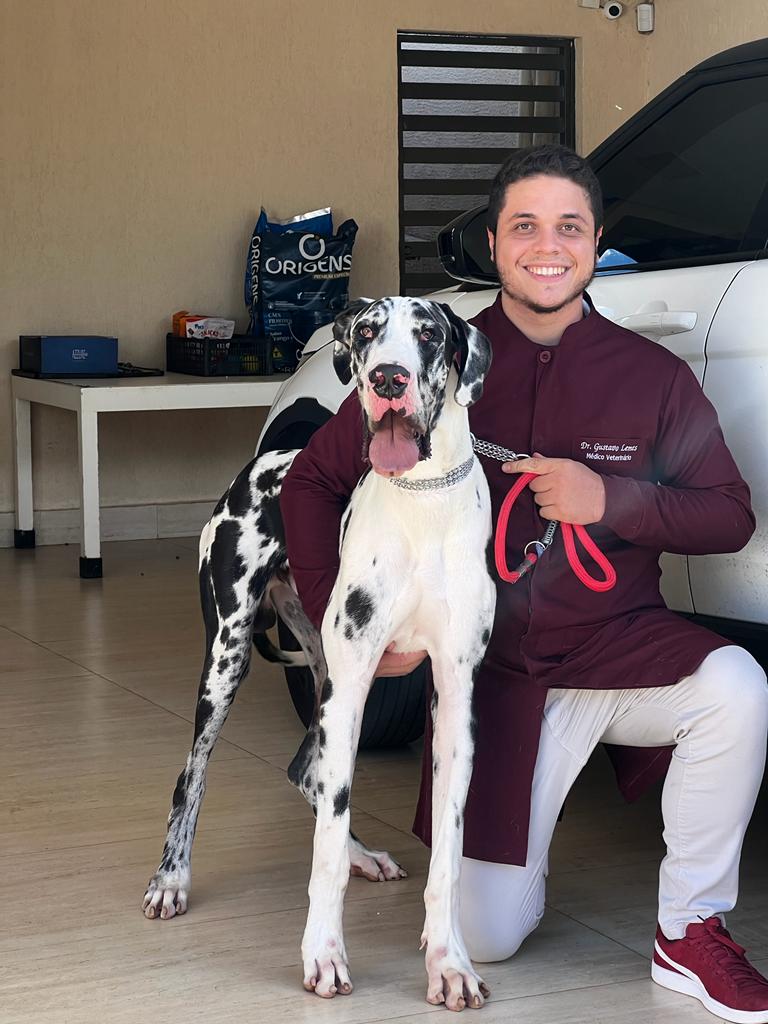 Dr. Gustavo Lemes Batista, Veterinário a Domicílio em Goiânia