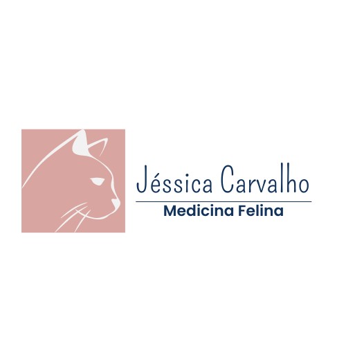 Dra. Jéssica Carvalho, Felinos em Lavras