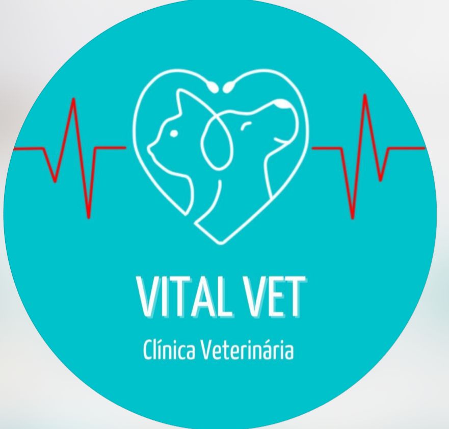 Vital Vet, Clínica em São Paulo