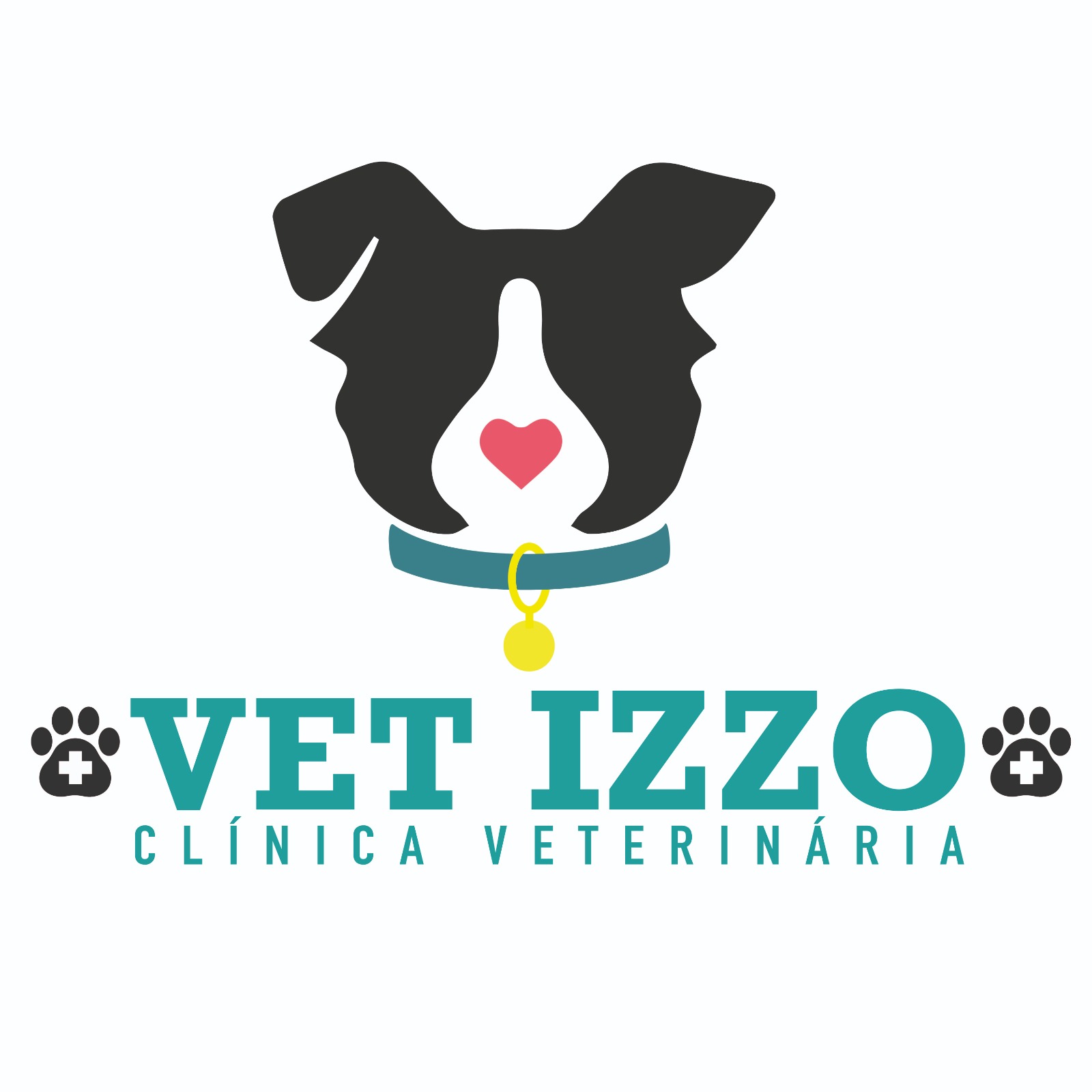 Dra. Leticia Ramalho Izzo, Veterinário a Domicílio em Atibaia