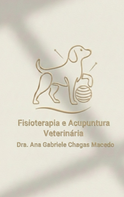 Dra. Ana Gabriele Chagas Macedo, Fisio e/ou Acupuntura em Bragança Paulista