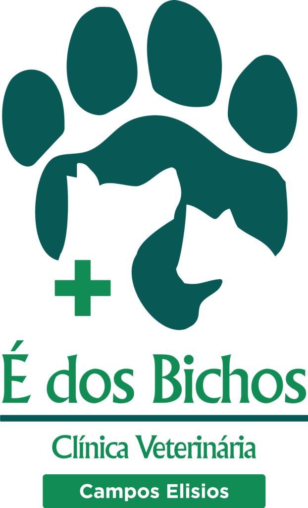 É dos Bichos - MLvet comercio de produtos e serviços veterinarios ltda, Oncologia em Campinas
