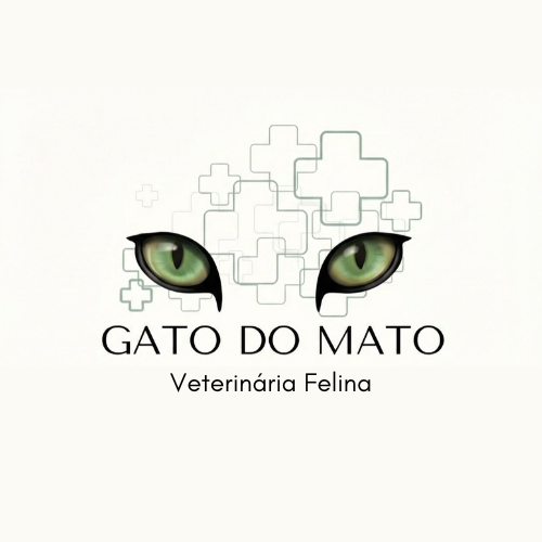Gato do Mato - Medicina Felina, prestador credenciado Petlove Saúde em Porto Alegre