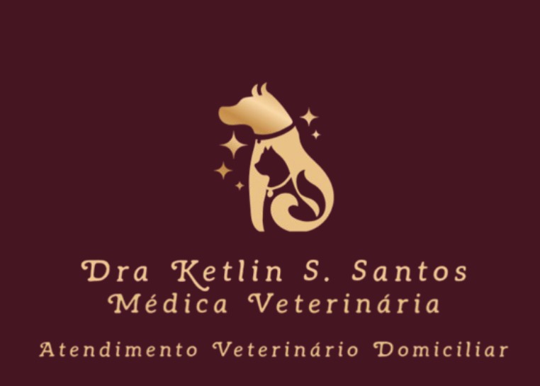 Dra. Ketlin Santos, Veterinário a Domicílio em Joinville