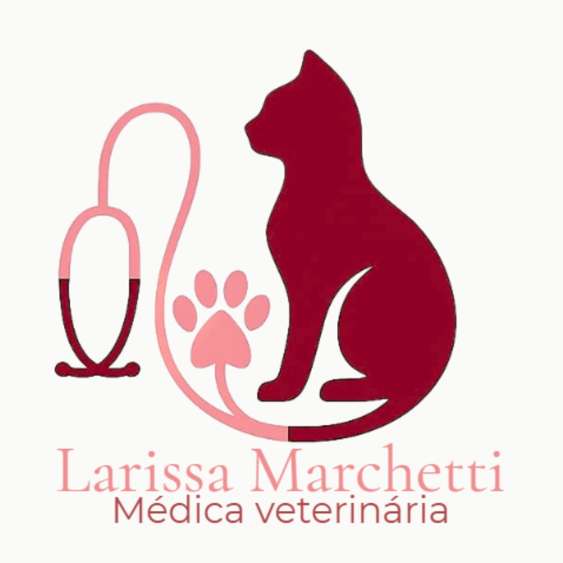 Dra. Larissa Marchetti, Anestesista em Vila Velha