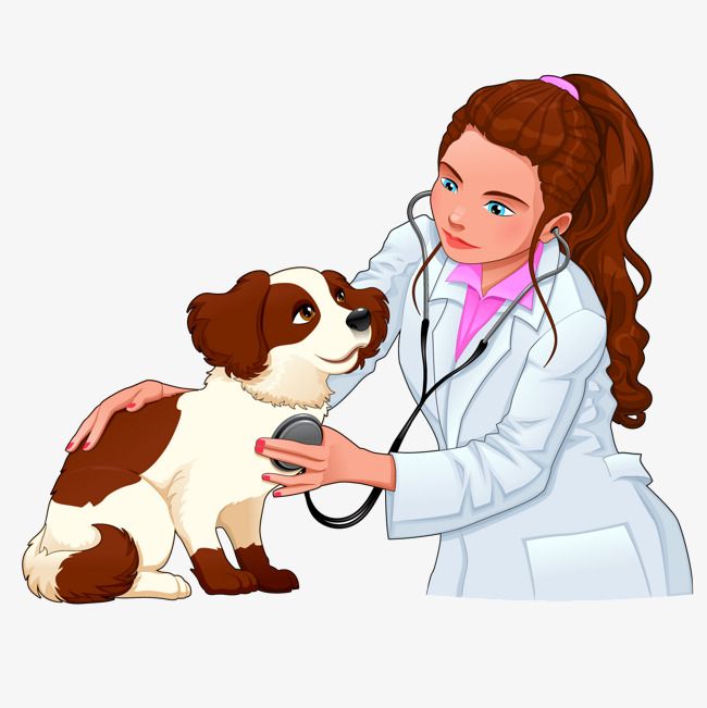 Avatar do(a) Elite Pet Care