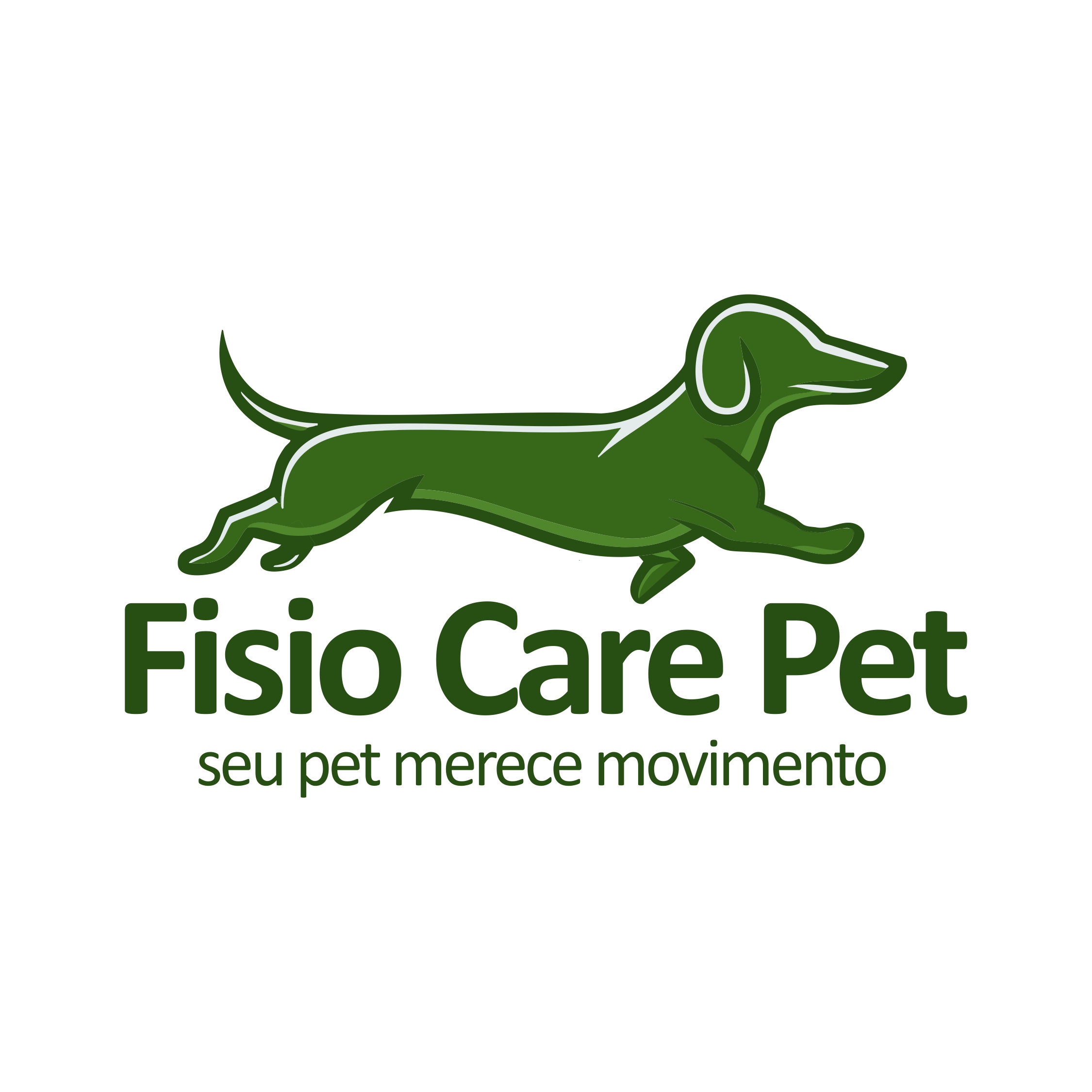 Rede Internacional Fisio Care Pet Pinheiros (fisioterapia e acupuntura), Fisio e/ou Acupuntura em São Paulo