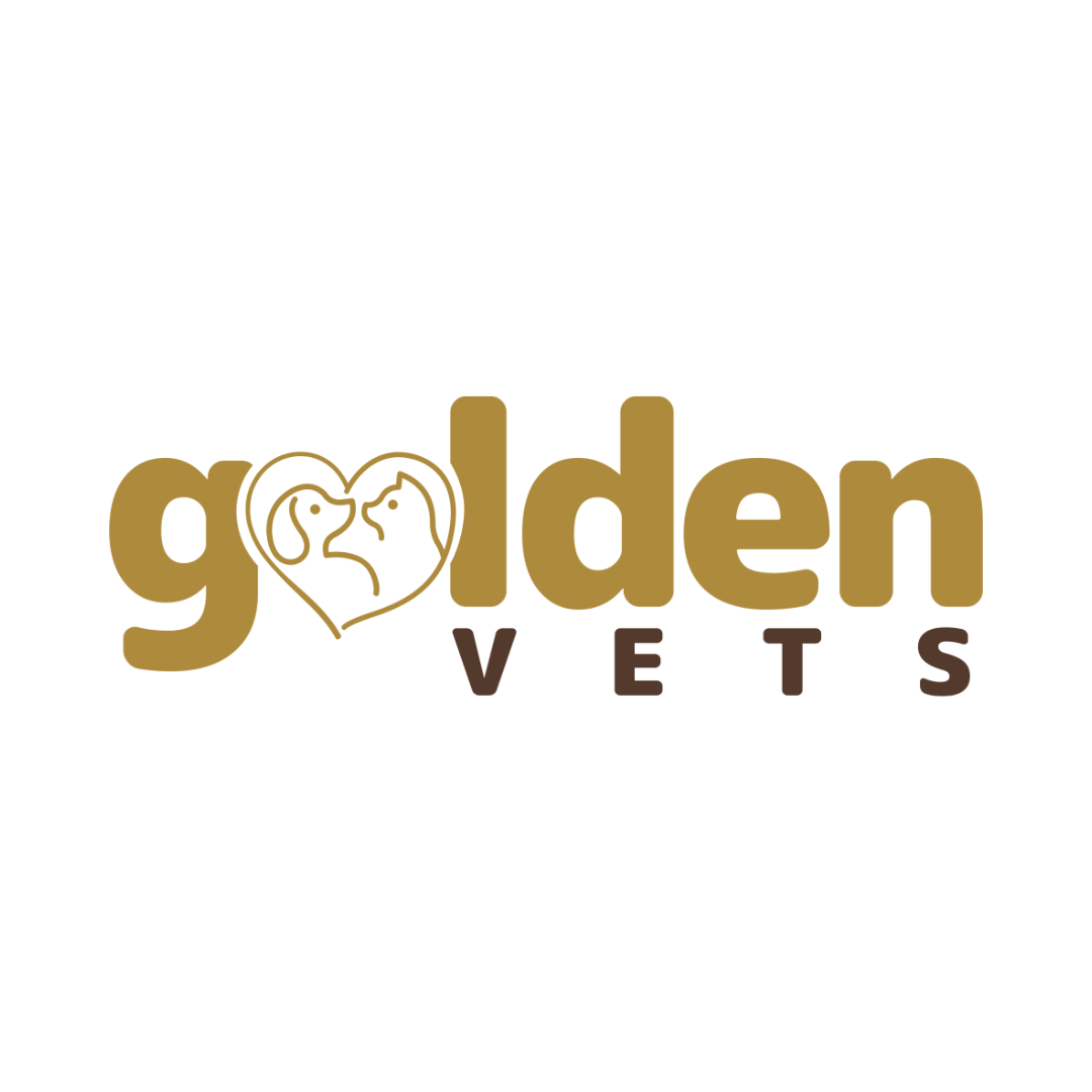 Avatar do(a) Golden Vets