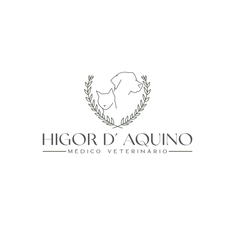 Dr. Higor D’ Aquino, prestador credenciado Petlove Saúde em Ipatinga