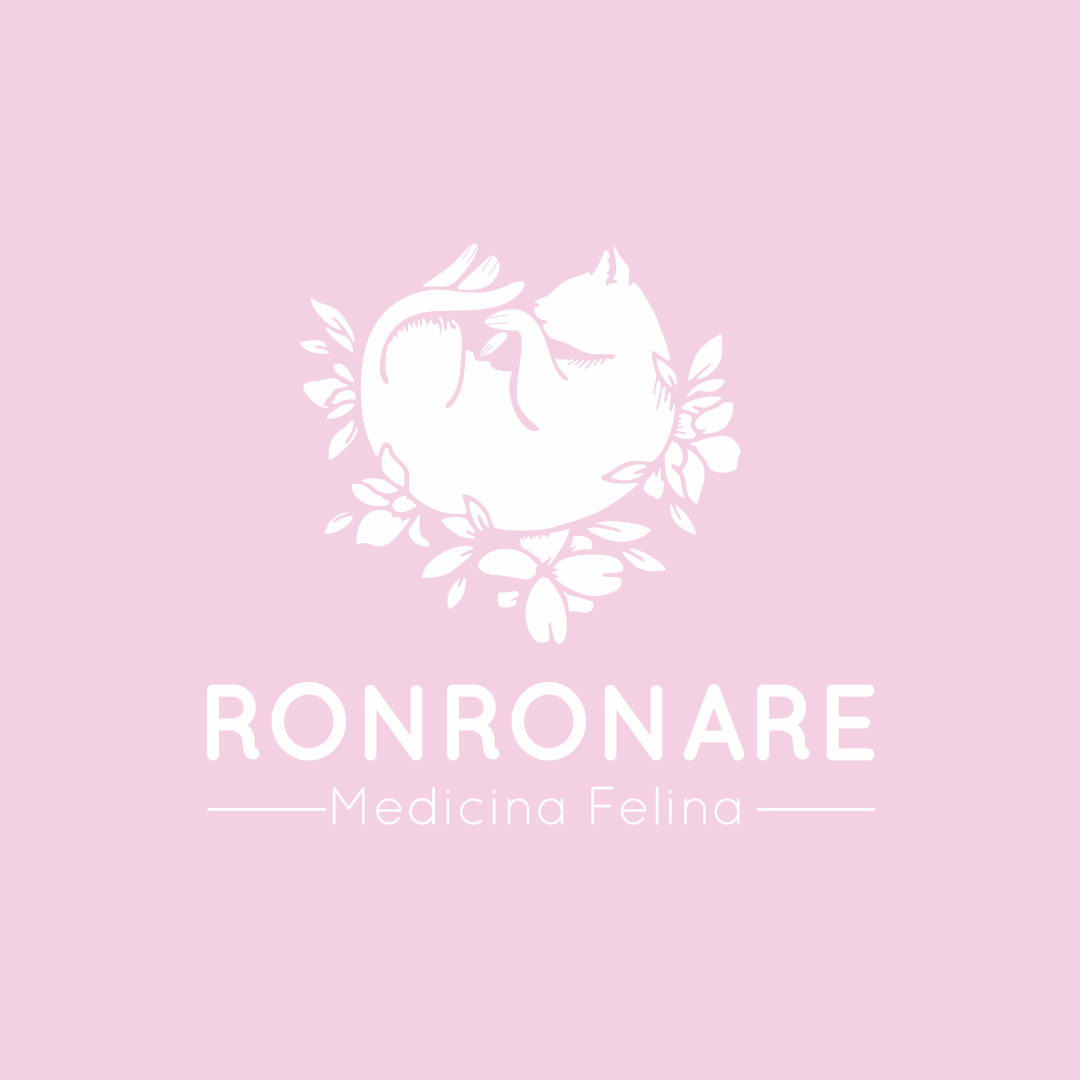 Ronronare Medicina Felina, prestador credenciado Petlove Saúde em Belo Horizonte