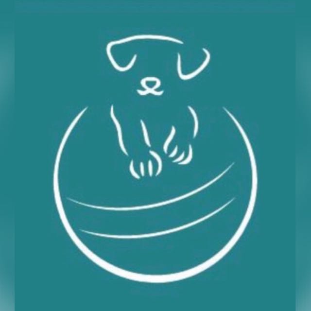Movida Reabilitação Veterinária - Unidade Mauá, Fisio e/ou Acupuntura em Mauá