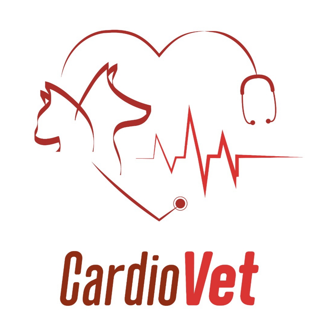 Dr. Alan Passador da Silva, Cardiologia em Cascavel