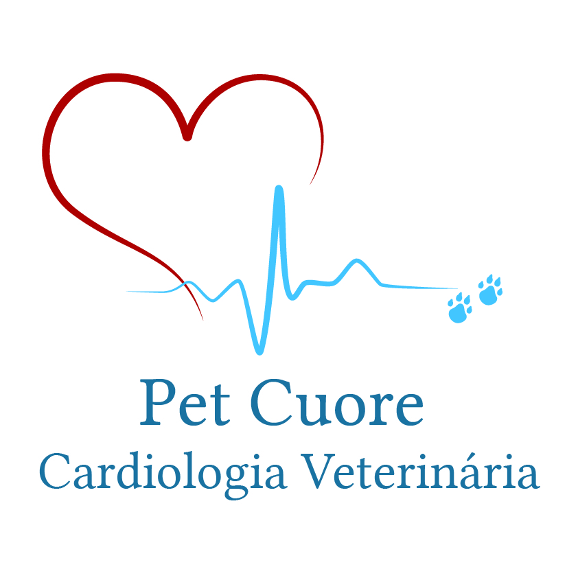 Dra. Katia Noronha Cardiologista, Cardiologia em São Paulo