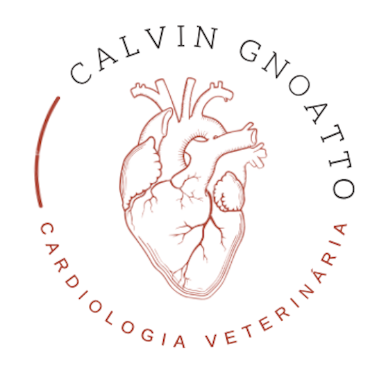 Dr. Calvin Gnoatto, prestador credenciado Petlove Saúde em Porto Alegre