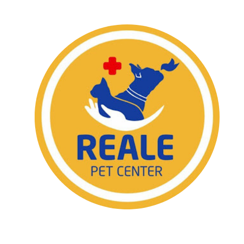 Reale Rações, Consultório em Salvador