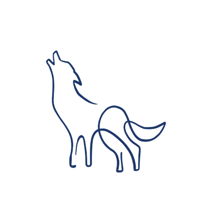 Wolff Cardiologia Veterinária, Cardiologia em Rio de Janeiro