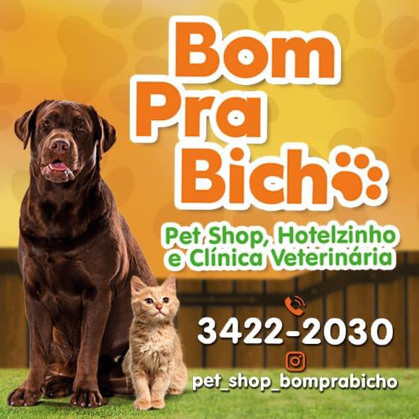 BomPraBicho, prestador credenciado Petlove Saúde em Recife