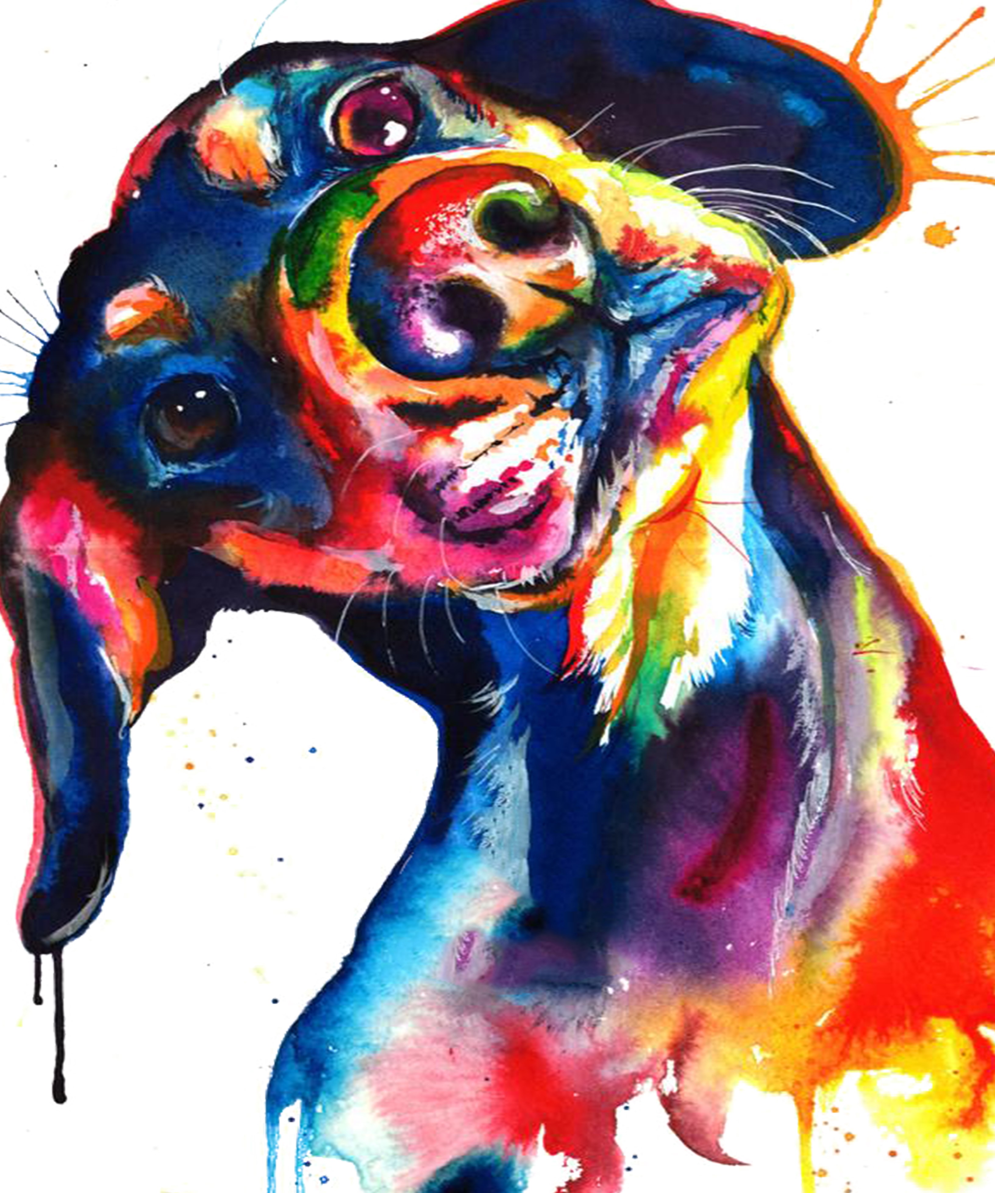 Clinica Veterinária São Cãomilo, prestador credenciado Petlove Saúde em São Paulo