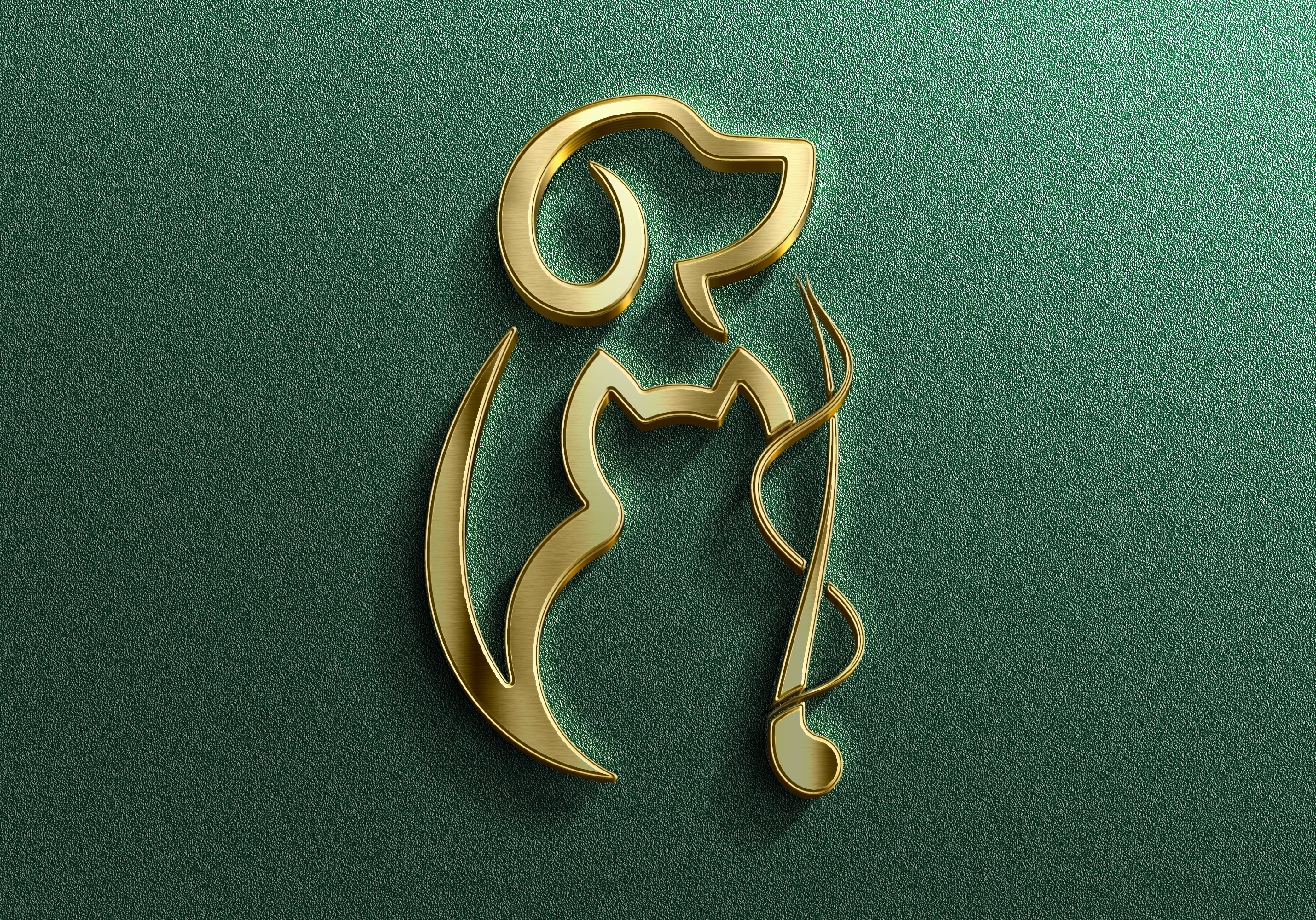 Karina Apude - Dermatologia e otologia veterinária, Dermatologia em São Paulo