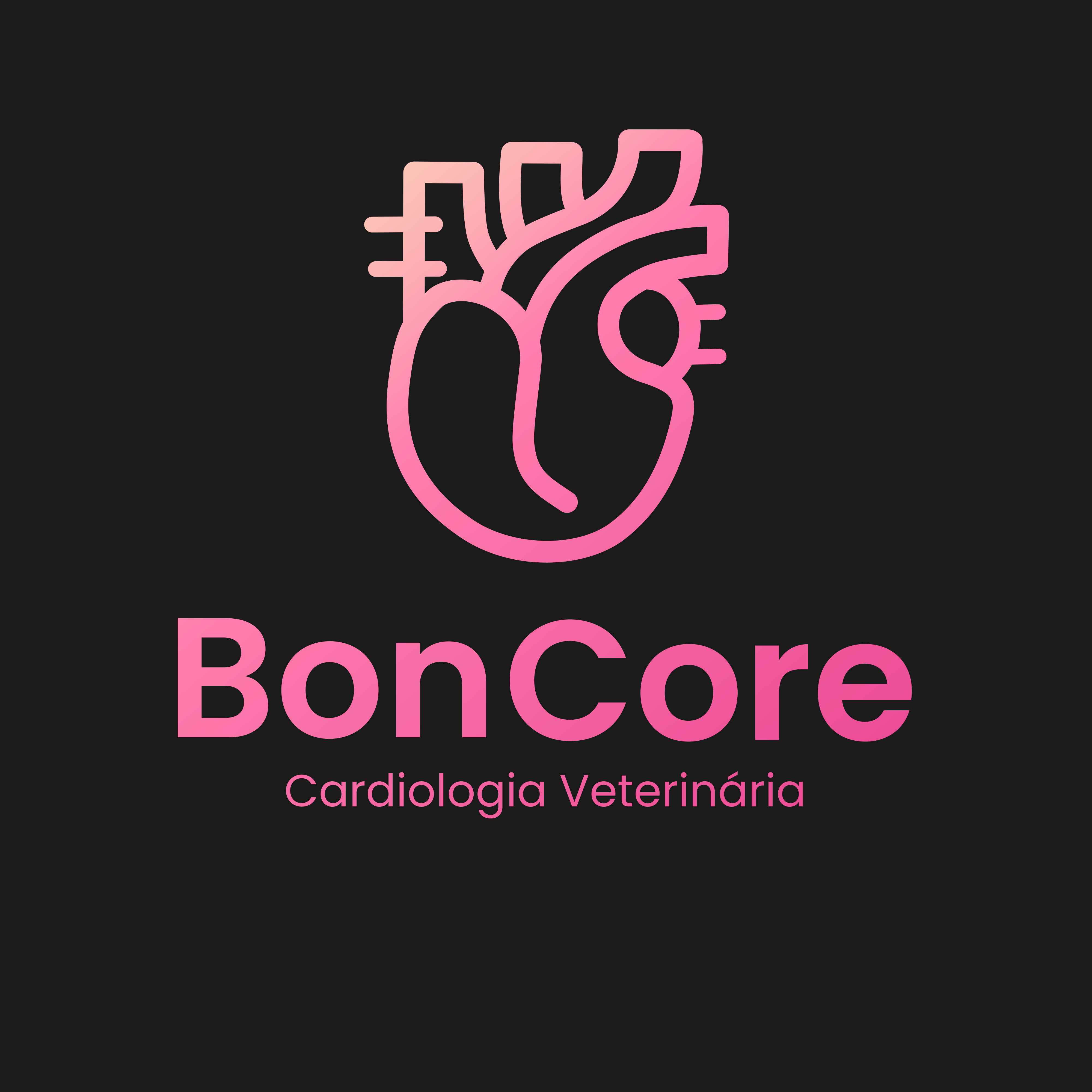 Avatar do(a) BonCore