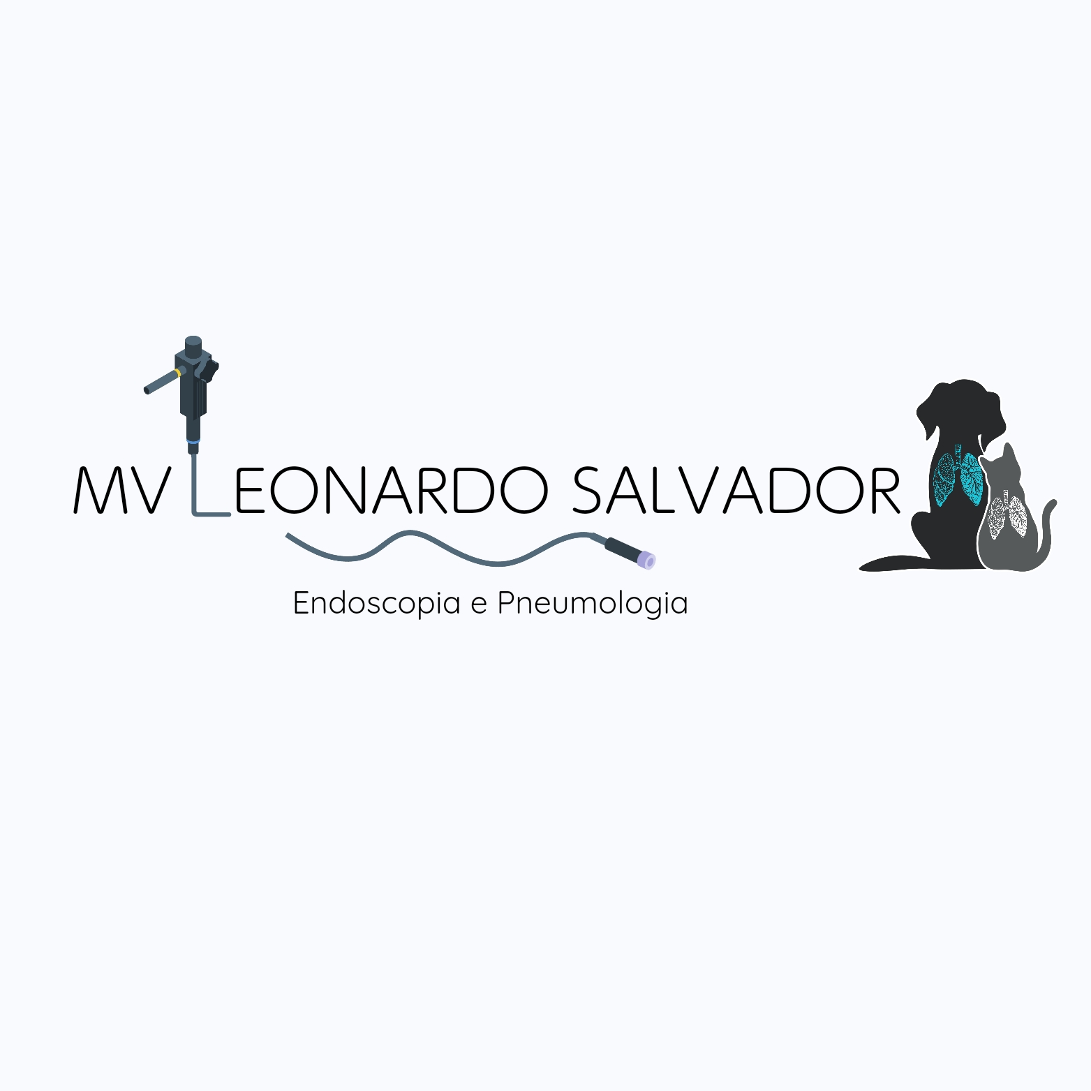 Dr. Leonardo Salvador, Endoscopia em São Bernardo do Campo