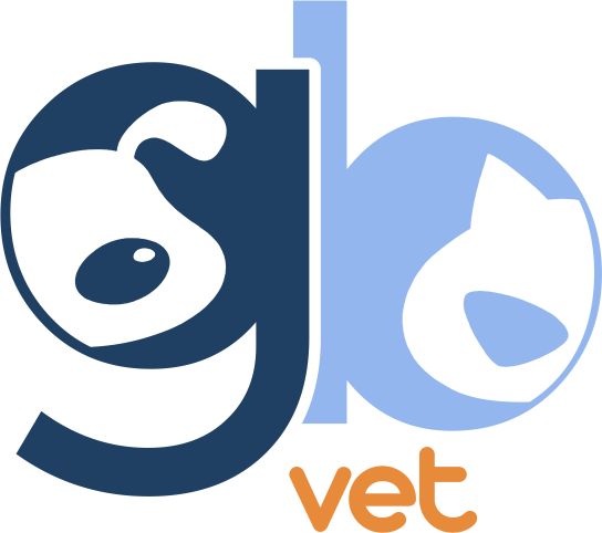 GBVET, Clínica 24h em São Paulo