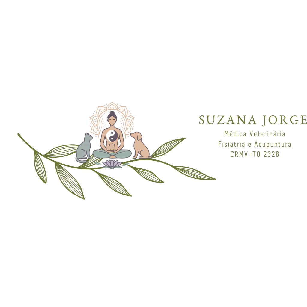 Dra. Suzana Jorge Fisioterapia e Acupuntura, Fisio e/ou Acupuntura em Palmas