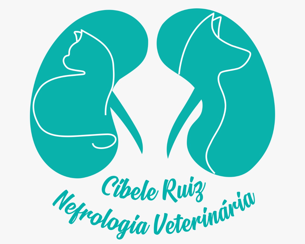 Dra. Cibele Erreiras Ruiz, Nefrologia em São Paulo