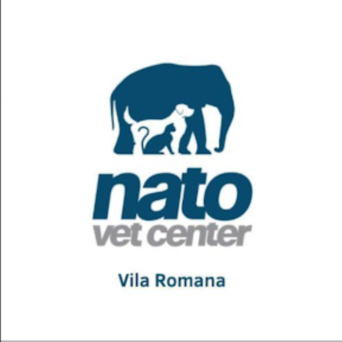 Clínica Nato Vet Center Vila Romana, Odontologia em São Paulo
