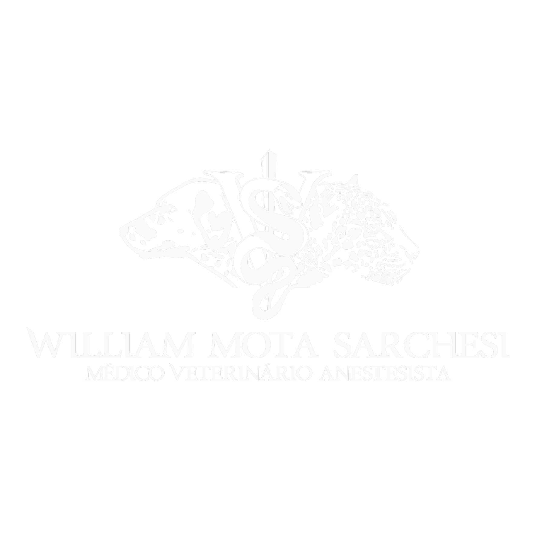 Dr. William Sarchesi, Anestesista em São Paulo