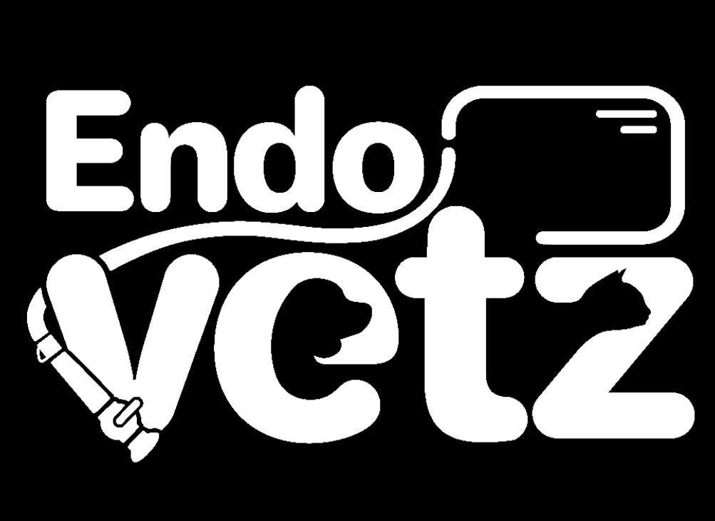 ETTORE AUGUSTO CAMARGO REIS, Endoscopia em São Paulo