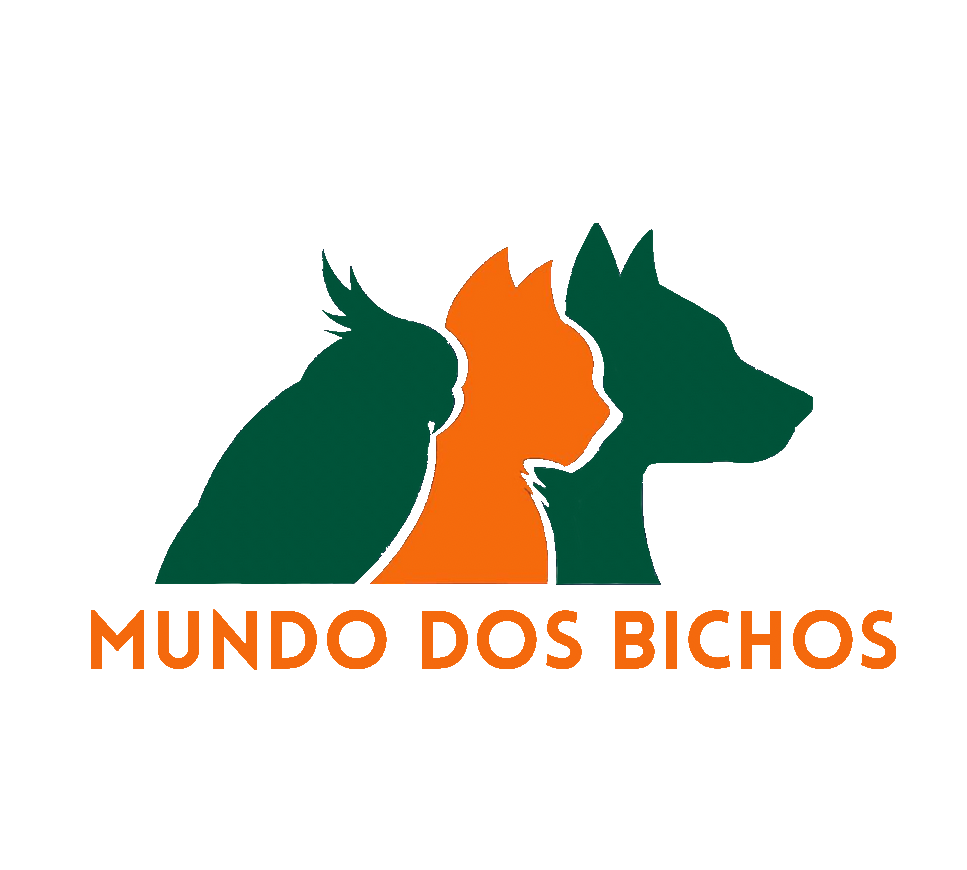 Mundo dos Bichos - MDB, Consultório em Recife
