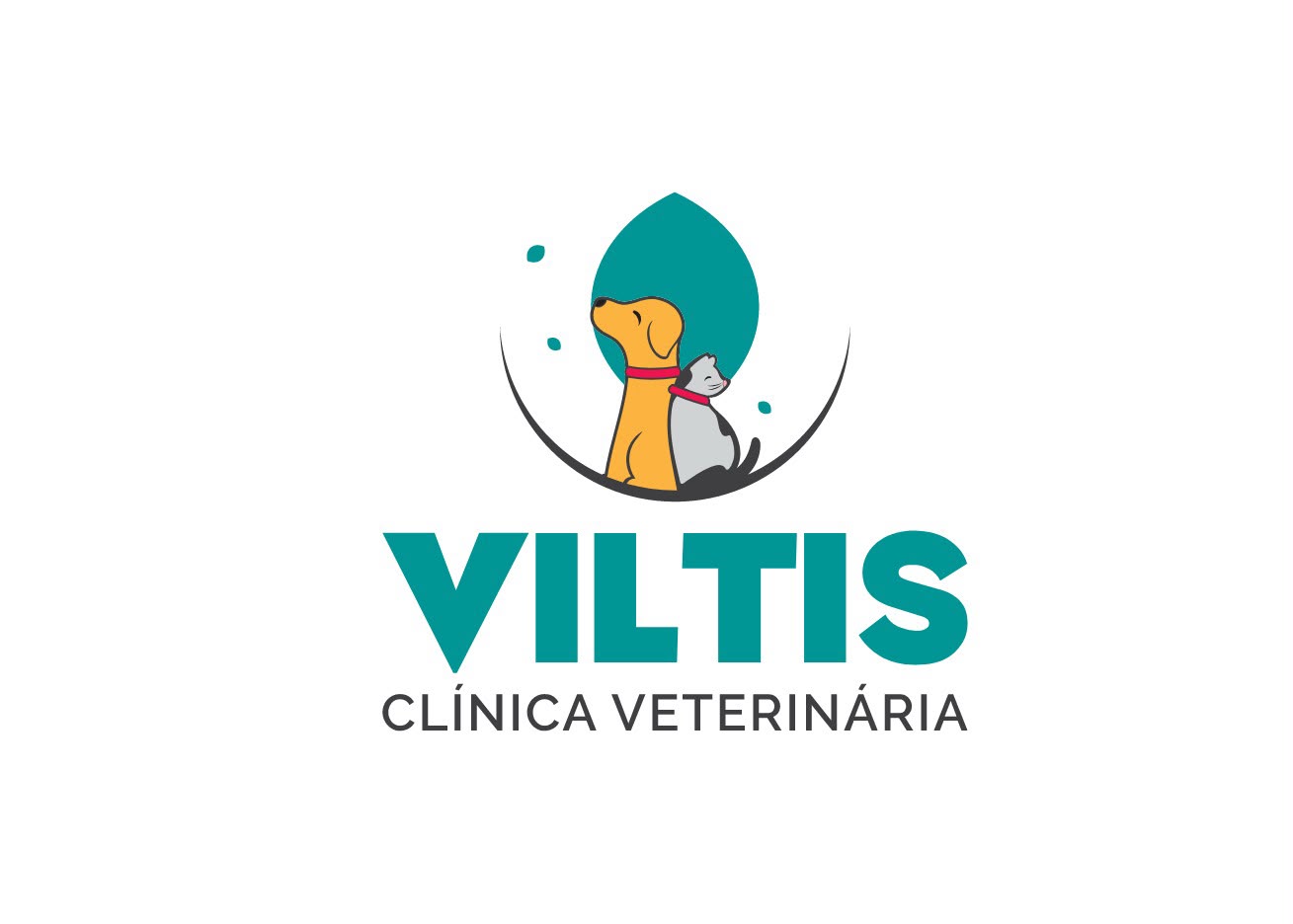Viltis, Cardiologia em São Paulo
