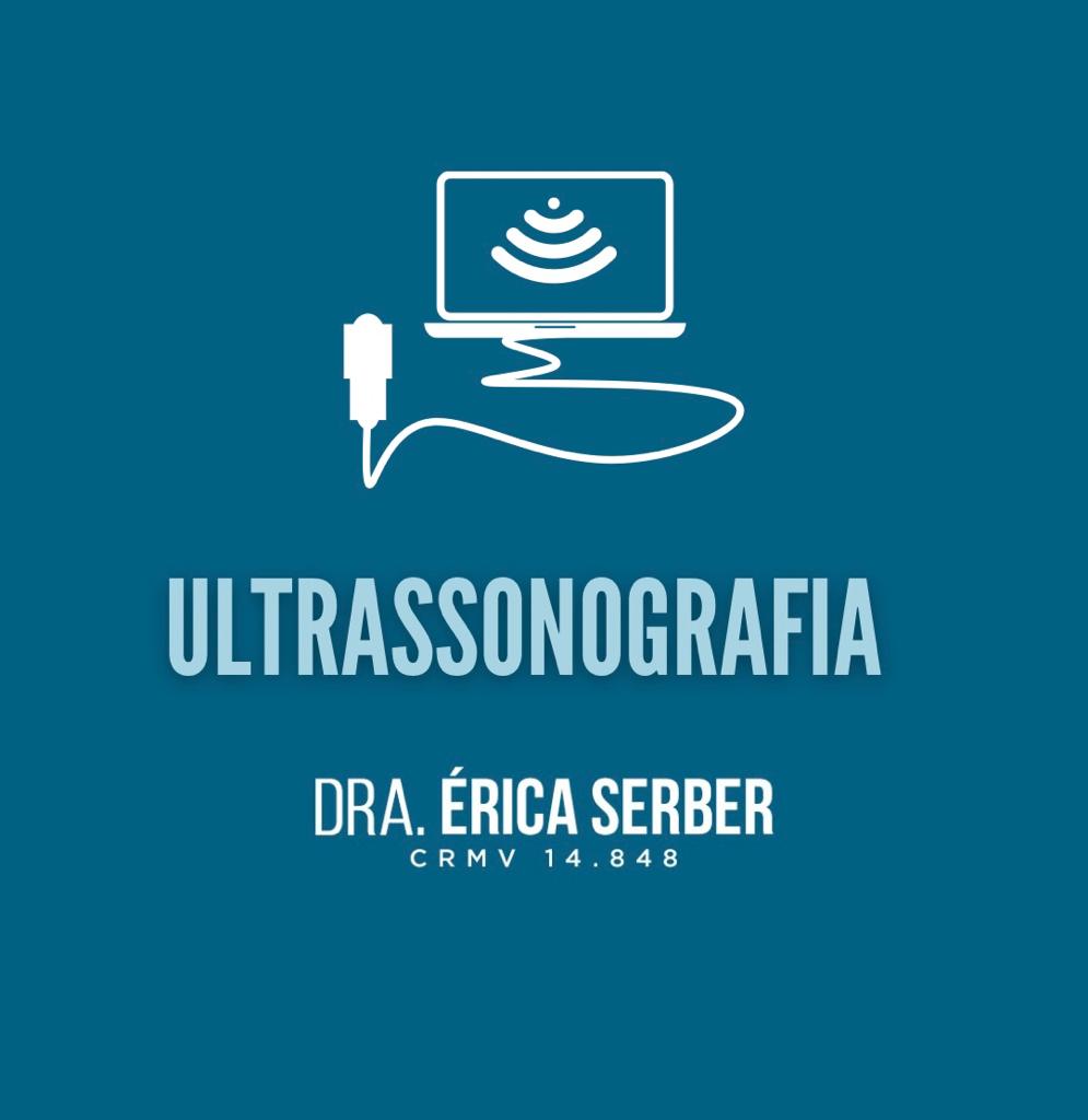 Dra. Érica Serber, Ultrassom em Rio de Janeiro