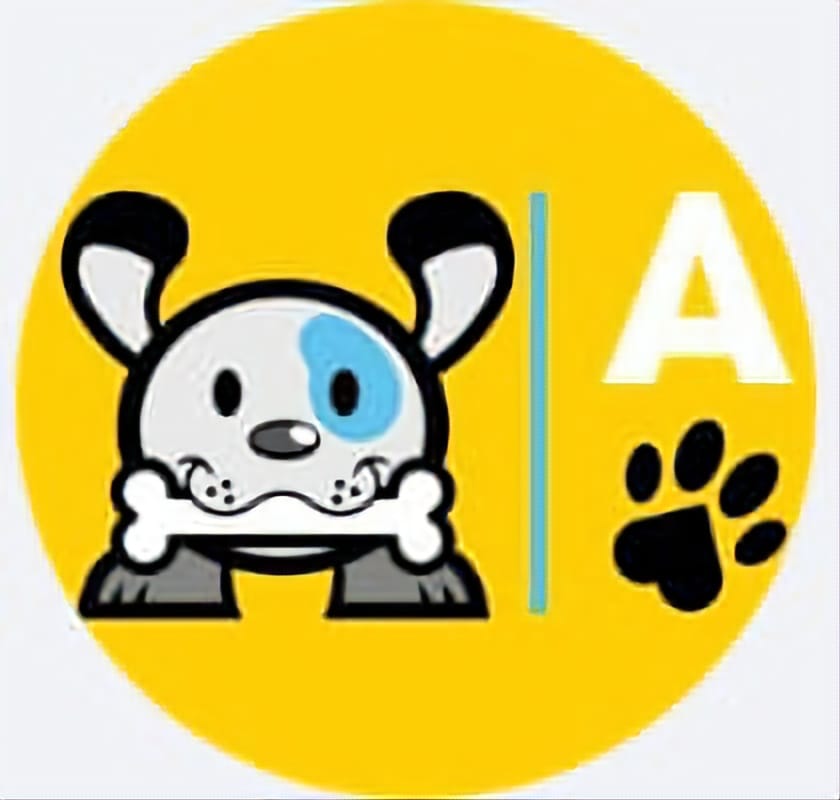 Pet Amor de Patas, Petshop - Banhos em São Paulo