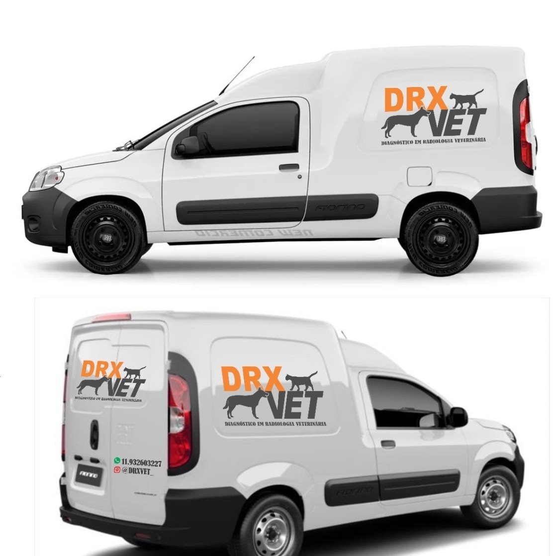DRXVET Radiologia Veterinária, Raio X em Atibaia