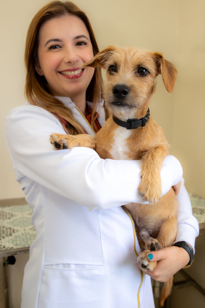 Consultório Longevet (Mariana Grando Nutrição), prestador credenciado Petlove Saúde em Sorocaba