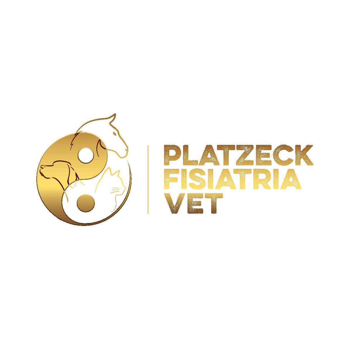 Platzeck Fisiatria Vet, Fisio e/ou Acupuntura em Presidente Prudente