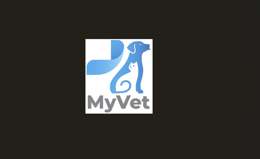 My Vet Serviços Veterinários, Ultrassom em Salto