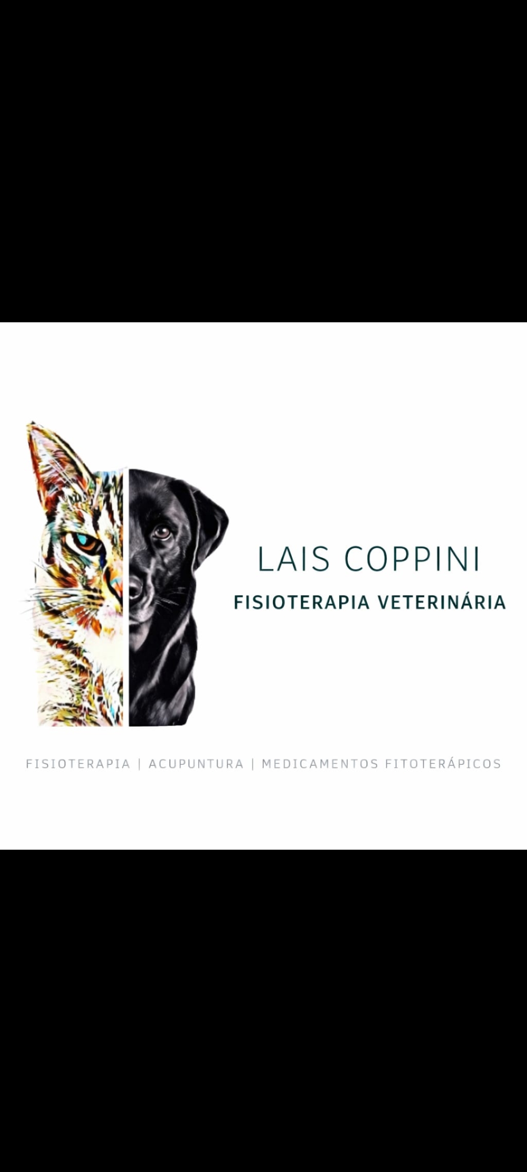Lais coppini fisioterapia veterinaria, Fisio e/ou Acupuntura em São Paulo