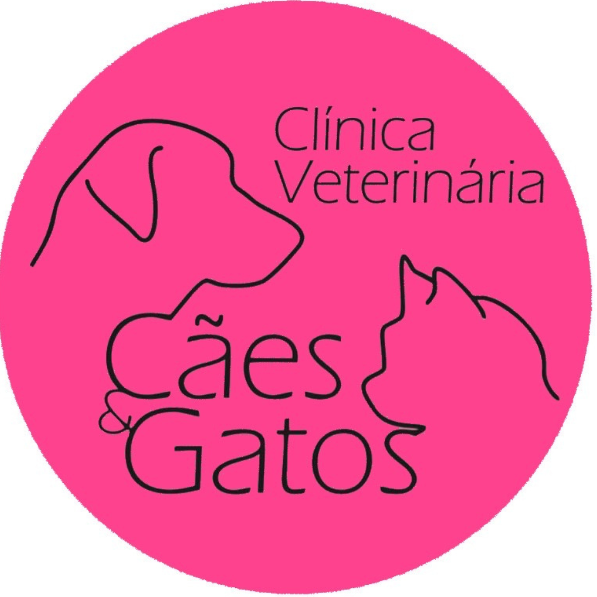 Cães e Gatos Veterinária, prestador credenciado Petlove Saúde em Campinas