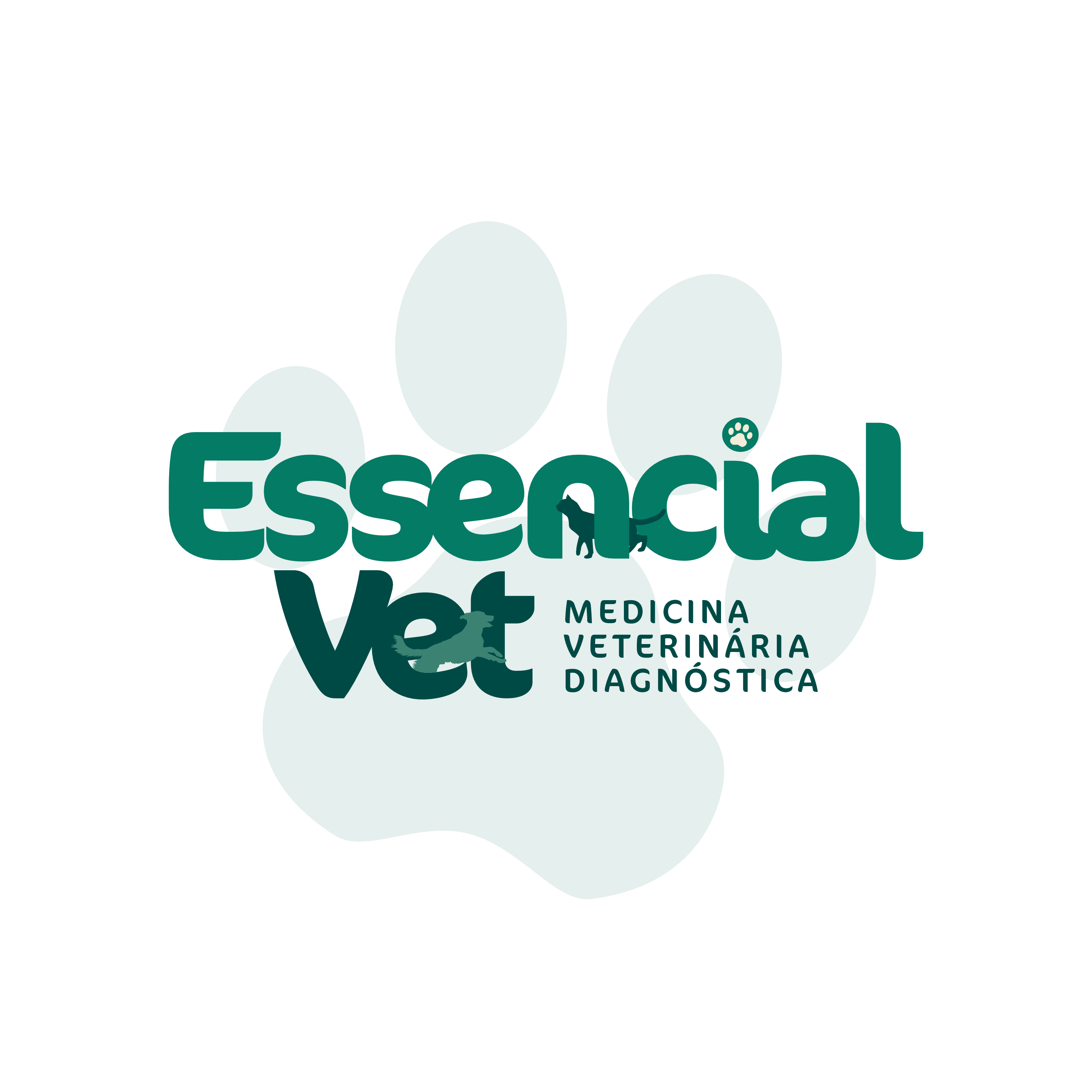 Essencial Vet Imagem, Ultrassom em Brasília